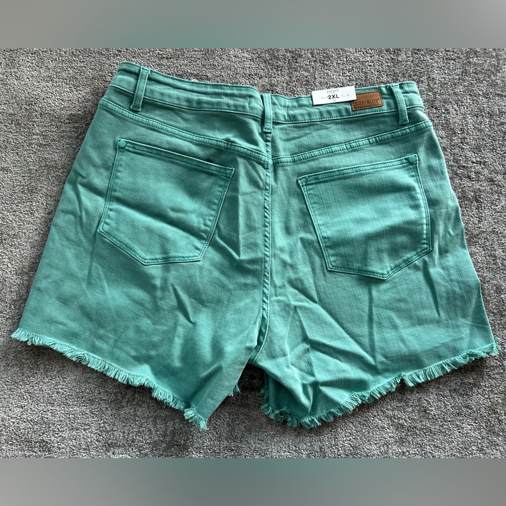 🌶️ NWT Judy Blue Shorts Sienna Aquamarine Mid Rise Frayed Hem. Size 2XL - Picture 2 of 3